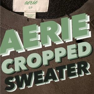 aerie cropped sweater